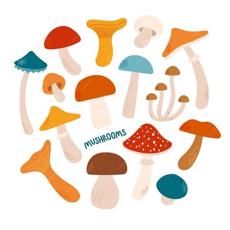 Premium Vector Mushrooms Set Different Colors And Sizes Flat Design