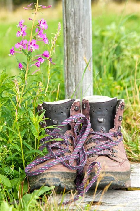 Hiking Boots On A Way Stock Photo Image Of Footwear 24645076