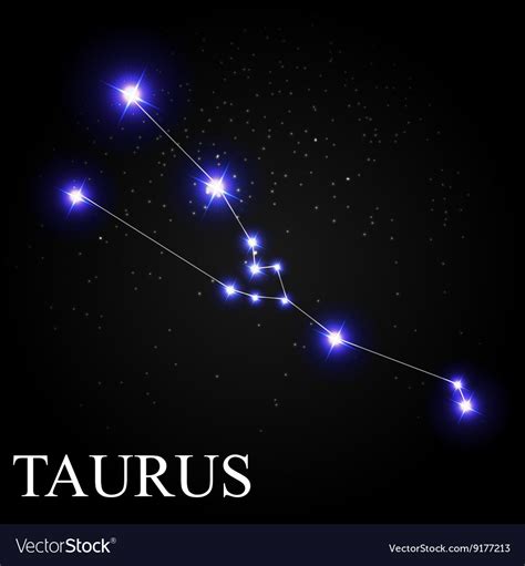 Taurus Zodiac Sign With Beautiful Bright Stars On Vector Image