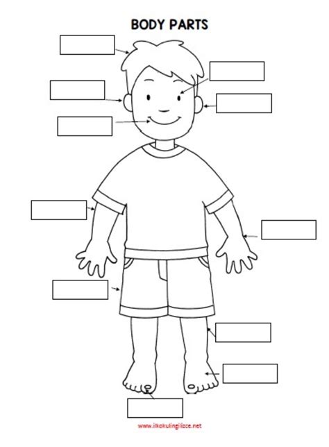 Body vocabulary for kids learning english printable resources 317610. Parts of the body: English as a Second Language (ESL ...
