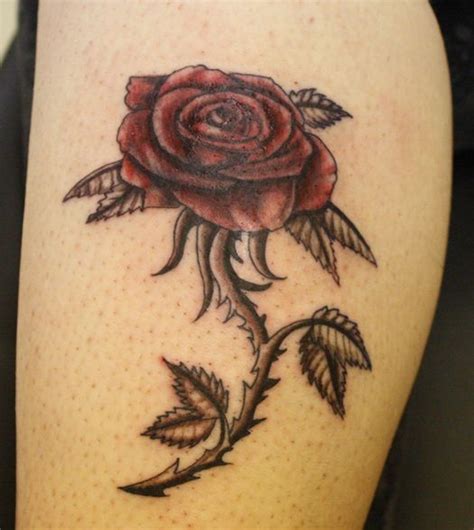 Tattoo style illustration of a red rose bud with leaves on a stem with thorns set on isolated white background. 31 best Rose With Thorns Tattoo images on Pinterest ...