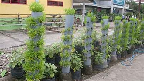We did not find results for: Kebun Sayur Mini Di Halaman Rumah