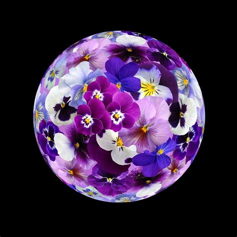 Sphere Floral Flowers Free Photo On Pixabay