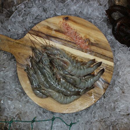 Frozen Whole Raw Vannamei Prawn White Tiger U Kg Fish Seafood