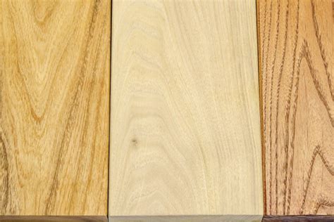 Because a locust's trunk contains mostly sapwood, it's strong. Black Locust Decking | JLC Online