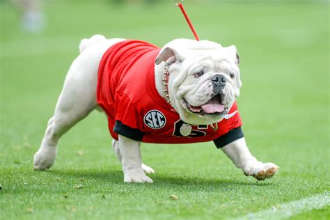 College Footballs Best Mascots In History Rankings Sports Illustrated