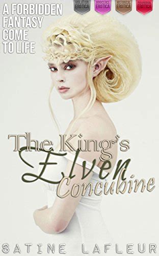 The Kings Elven Concubine A Forbidden Fantasy Come To Life By Satine