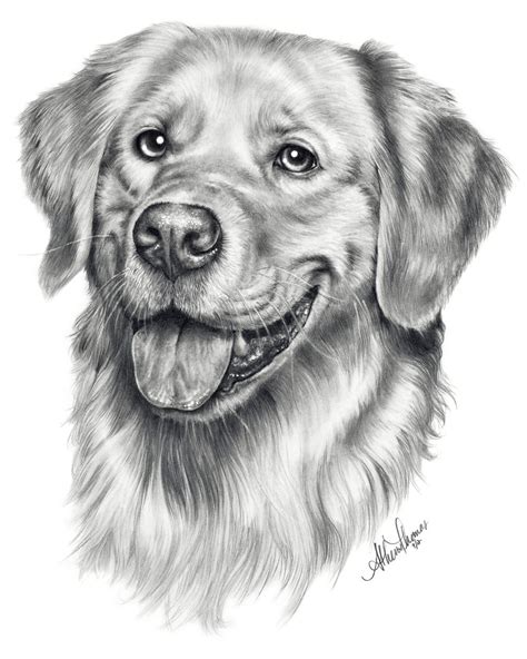 Cody By Athenatt On Deviantart Dog Pencil Drawing Dog Paintings