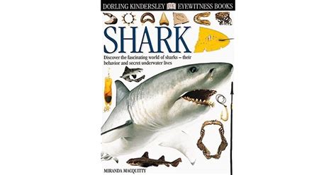 Shark Dk Eyewitness Books By Miranda Macquitty