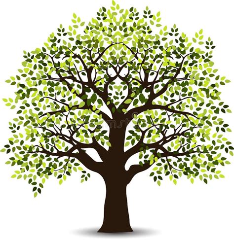 Stylized Tree For Your Design Stock Illustration Illustration Of
