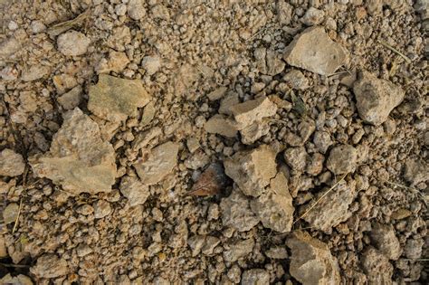 Ground Textured Surface Stone Soil Free Stock Photo Public Domain