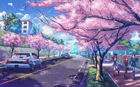 Sakura Фоновые рисунки Фотографии фонов Пейзажи