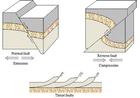 Reverse Fault Vs Normal Fault