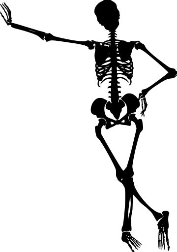 Svg Anatomy Skeleton Skull Bone Free Svg Image And Icon Svg Silh