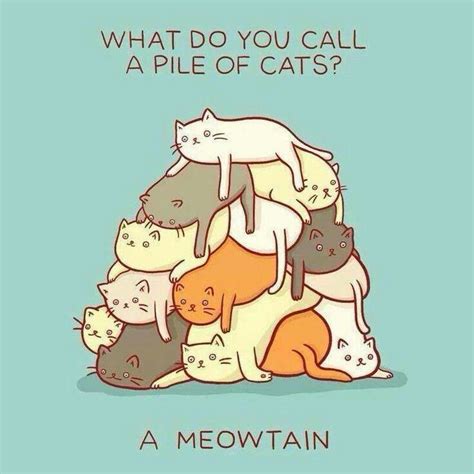 Pin By Amy Denton On Meo Cheesy Jokes Cat Jokes Cat Puns