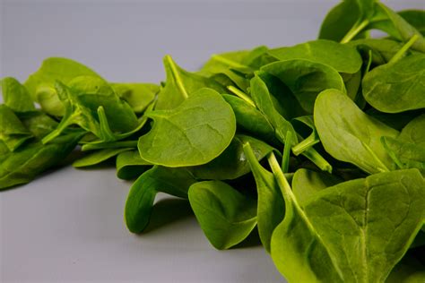 Spinach Leaves Free Stock Photo Public Domain Pictures