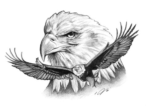 Eagles Drawing By Jason Vanderhoff