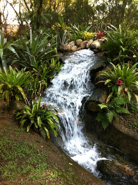 Jardim Botânico De Curitiba Waterfall Outdoor Water