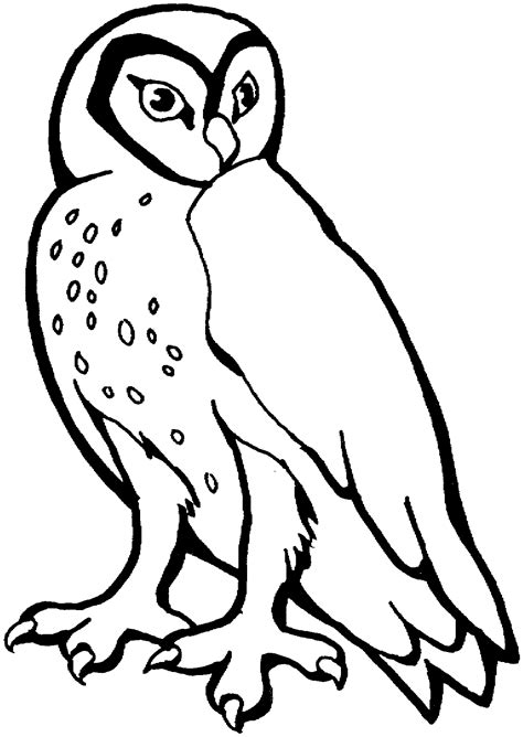 Download 268 Winter Snowy Owl Coloring Pages Png Pdf File New Free