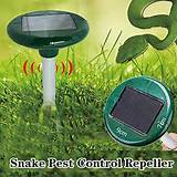 Sonic Pest Control Pictures