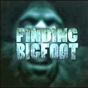 We constantly update our data to provide you with latest and most accurate requirements. Buy Finding Bigfoot CD KEY Compare Prices - AllKeyShop.com