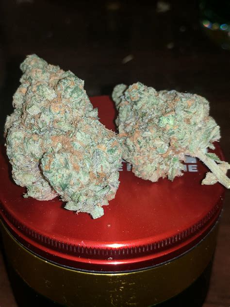 Some Do Si Dos Probably The Prettiest Nugs Ive Ever Picked Up Trees