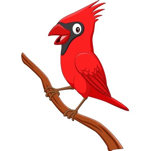 Cardenal Pájaro De Dibujos Animados En La Rama De Un árbol Vector Premium