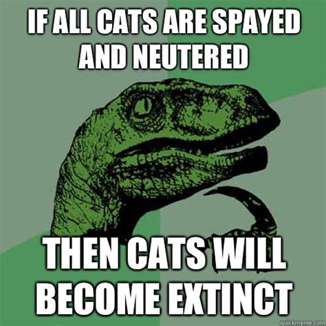 If All Cats Are Spayed And Neutered Then Cats Will Become Extinct