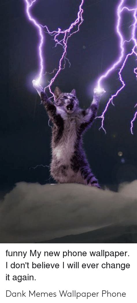 ラブリー Austin Powers Cat Meme サンセゴメ