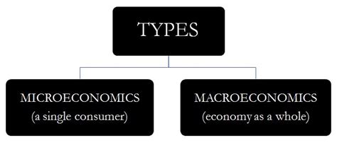 Economics Definition Types Examples And Importance Studiousguy