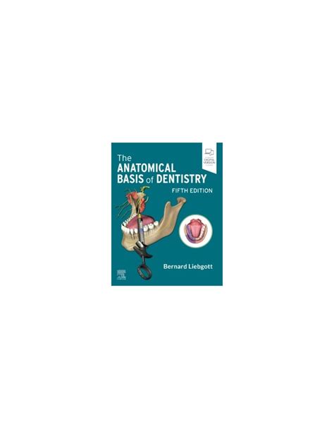 The Anatomical Basis Of Dentistry 5th Edition