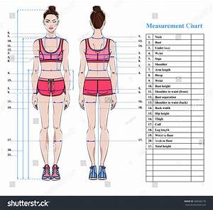 Woman Body Measurement Chart Scheme Measurement Stock Vector 498306178