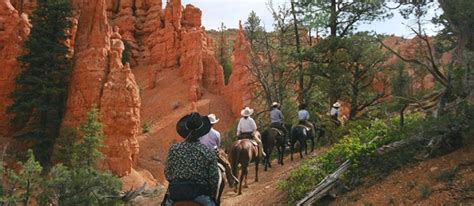 Utah Horseback Riding Bryce Canyon 40 For Hour Ride Trail Riding