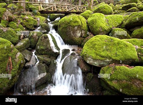 Moss Covered Rocks Waterfall Wooden Bridge Geishöll Waterfalls Near