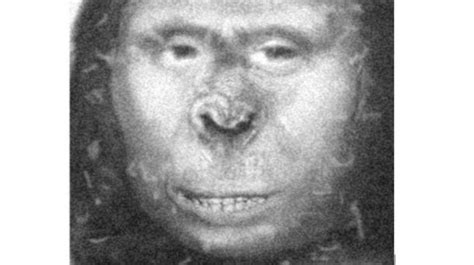 Dna Evidence Suggests Captured Russian Ape Woman Might Have Been
