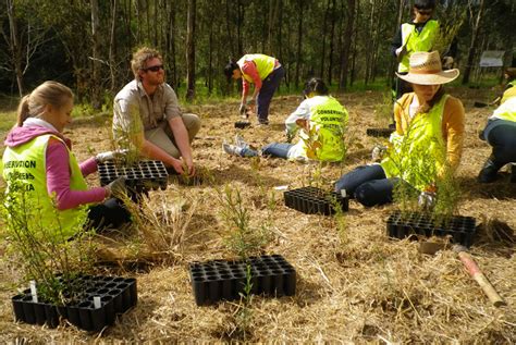 Why To Choose Volunteer Conservation Program In Australia