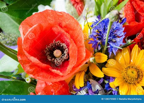 Luxuriant Summer Bouquet Of Wildflowers With Poppies Daisies