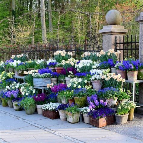80 Best Patio Container Garden Design Ideas 71 Gardenideazcom