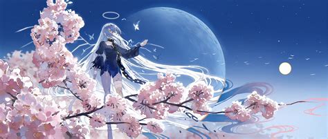 Anime Night Scenery Moonlight Night Cherry Blossom Wallpaper Cherry