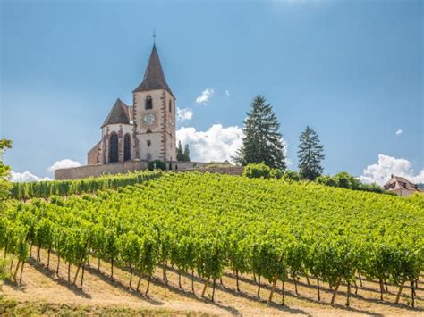 Alsace Wine Tours Taste The Best Wines From Colmar Full Day