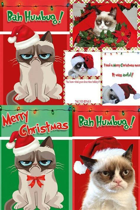 Grumpy Cat Christmas Cards Grumpy Cat Christmas Grumpy Cat Cat
