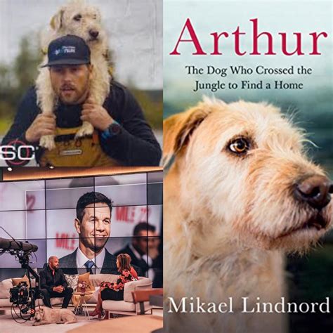 One Of My Favorite True Stories Is The One Of Arthur The Dog Who