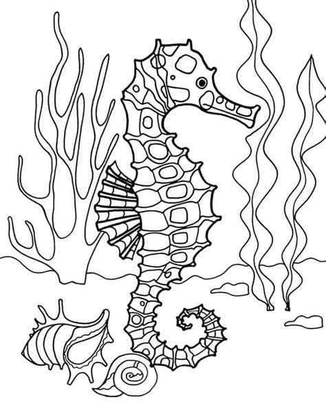 Coloring Page Seahorse Kidsworksheetfun