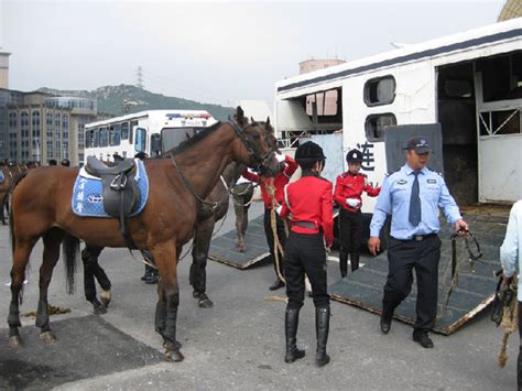 Mounted Policewomen At The 2009 Summer Davos In Dalian Cn
