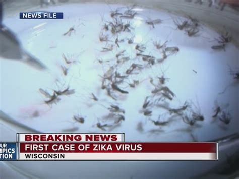 First Wisconsin Case Of Zika Virus Confirmed