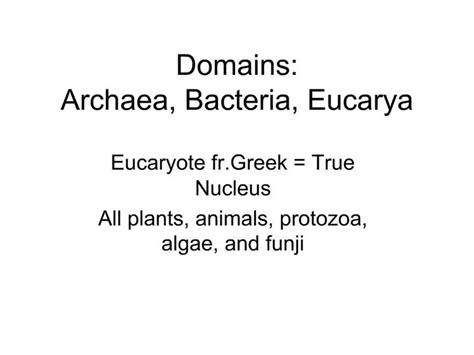 Ppt Domains Archaea Bacteria Eucarya Powerpoint Presentation Free Download Id794627