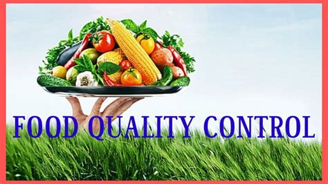 Food Quality Control Youtube