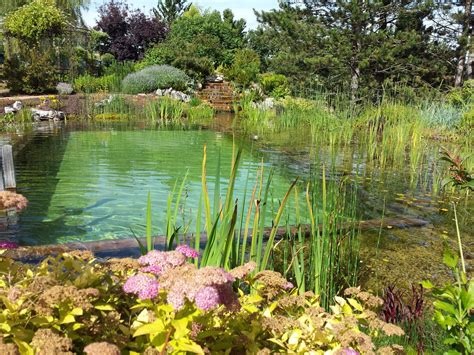 Bassin Deau Et Piscine Pour Le Baignade Naturelle Et écologique