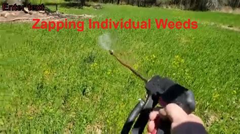 How To Get Thistles And Other Weeds Out Of Your Food Plot Youtube