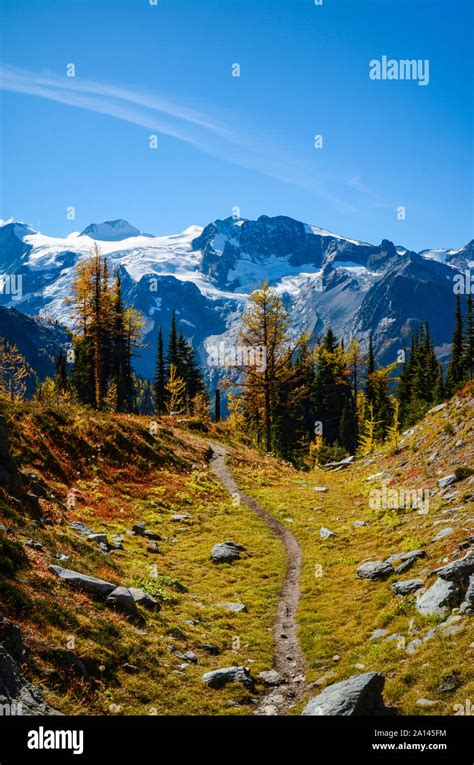 The Jumbo Pass Hiking Trail In Fall With A Glacier Background Deep In